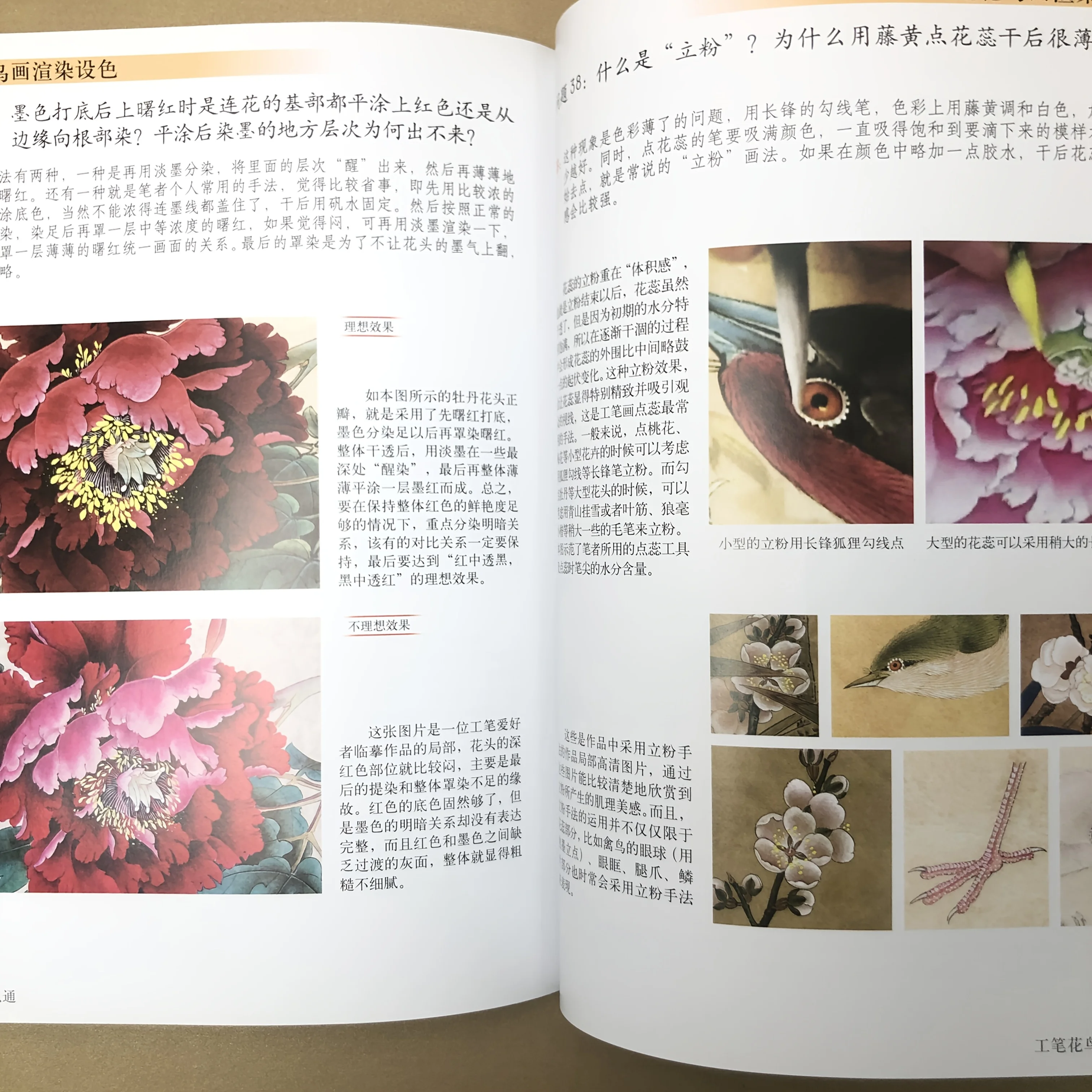 50 Gongbi Q&A: Solving Bird & Flower Painting Problems with Illustrated Solutions