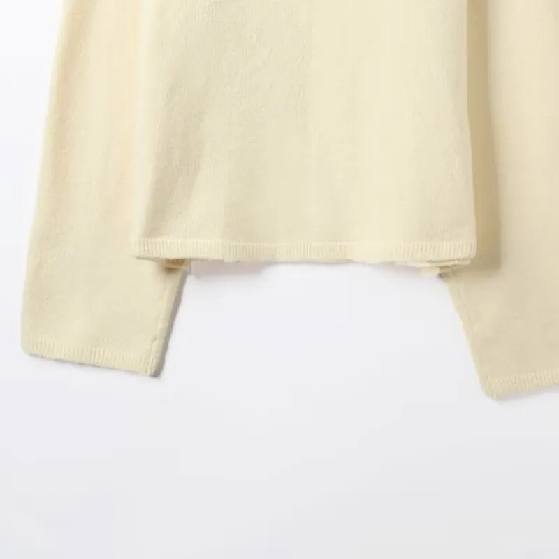 Autunno donna morbido pullover casual semplice maglia O collo maniche lunghe tinta unita maglione corto top femminili