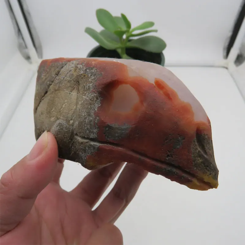 613g 100% Natural Red Agate Stone Bird Skull Gemstone Hand Carved Skull Meditation Healing Fengshui 2024