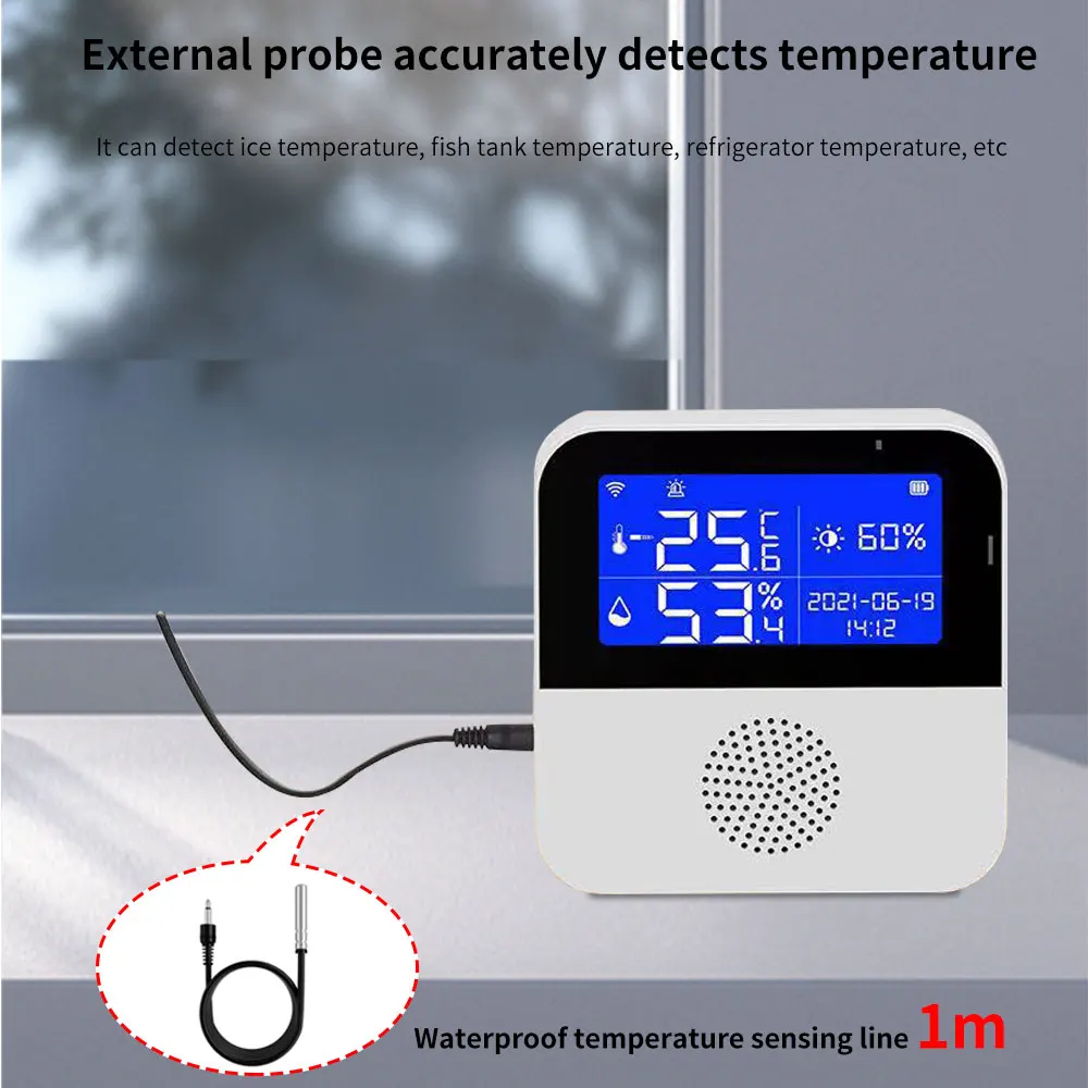 TISHRIC-Sensor de Temperatura e Umidade WiFi, Segurança Doméstica, Interior, Exterior, Tuya, Vida Inteligente, Suporte Alexa, Google Home