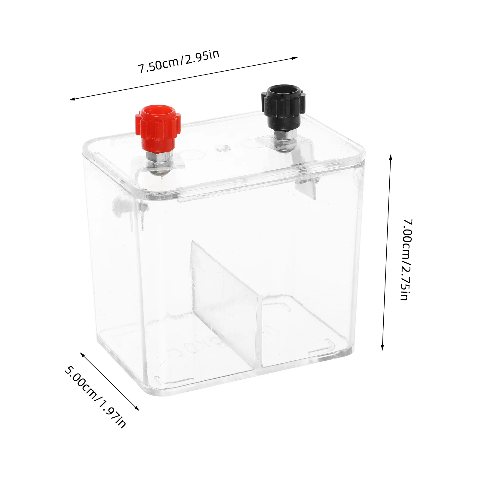 1Set Original Experiment Kit Efficient Fruit Potato Project Kit DIY Science Experiment Tool Educational