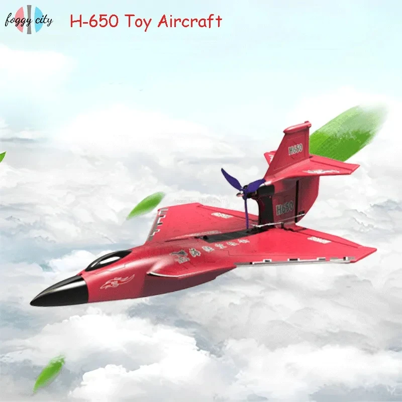 H650 65cm Big Size RC Plane Water Proof And Fall Resistant Land And Air Raptor RC Raptor Fixed Wing Foam Aircraft Outdoor Glider