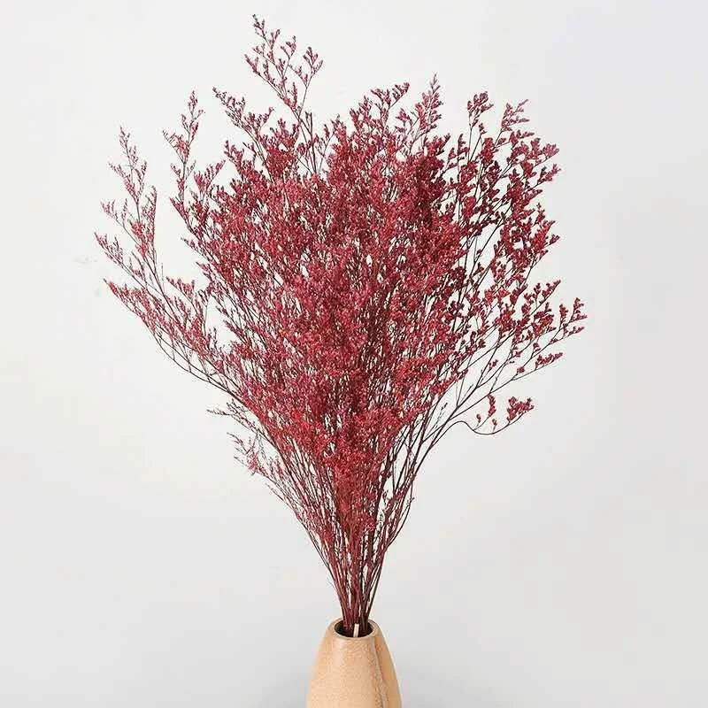 120g/Bundle,30~45CM Lover Grass Natural Fresh Dried Preserved Dancing Flowers,Real Forever Flower Grass Branch for Home Decor