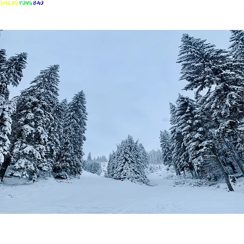 Winter Forest Snowcovered Road Photography Backdrops Blurred Landscape Snowflakes Road Spruce Trees Photo Background XD-09