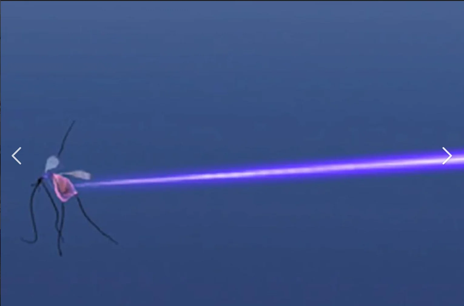 Long-range shooting 20/100 meters, multi-functional and efficient to hit mosquitoes and flies, laser