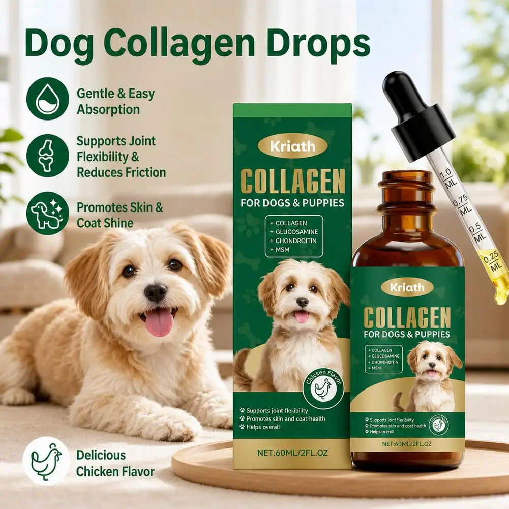 Dog Immune Herbal Drops Boost Dogs' Defense Chicken Flavor Nourishing Drops That Are Easy Dogs Absorb and Care Their Health