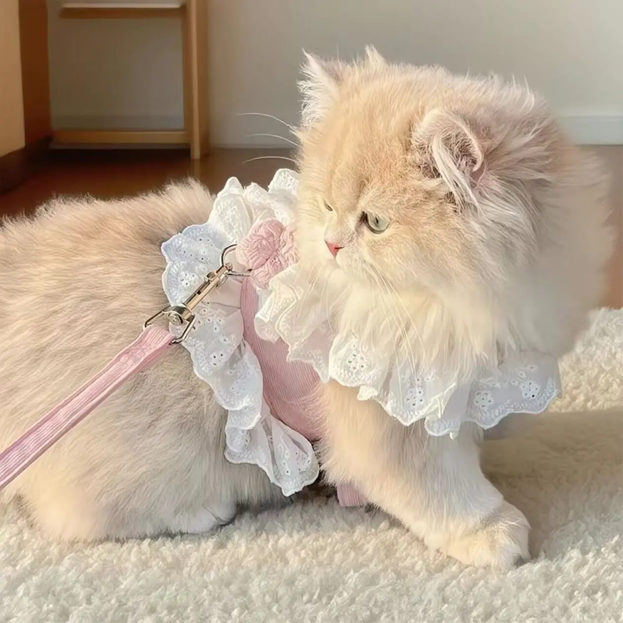 

New kitten leash JK cute breathable chest back rope pet puppy dog comfortable anti-drop chest back rope cat rope