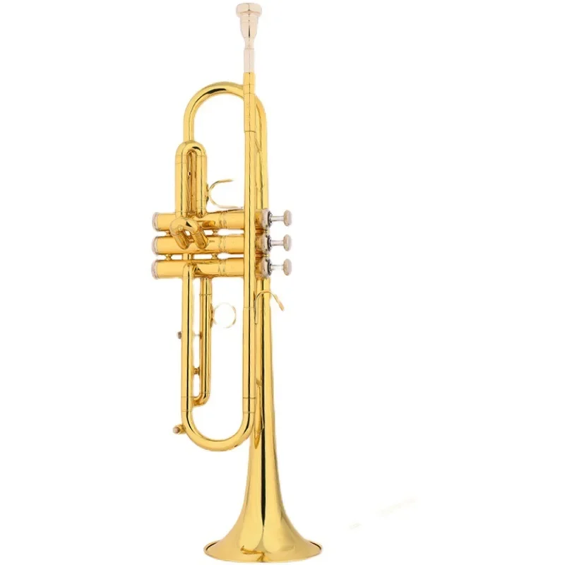 

TR-730 B flat trumpet Monel Piston, beginner Young Pioneers play drum horn