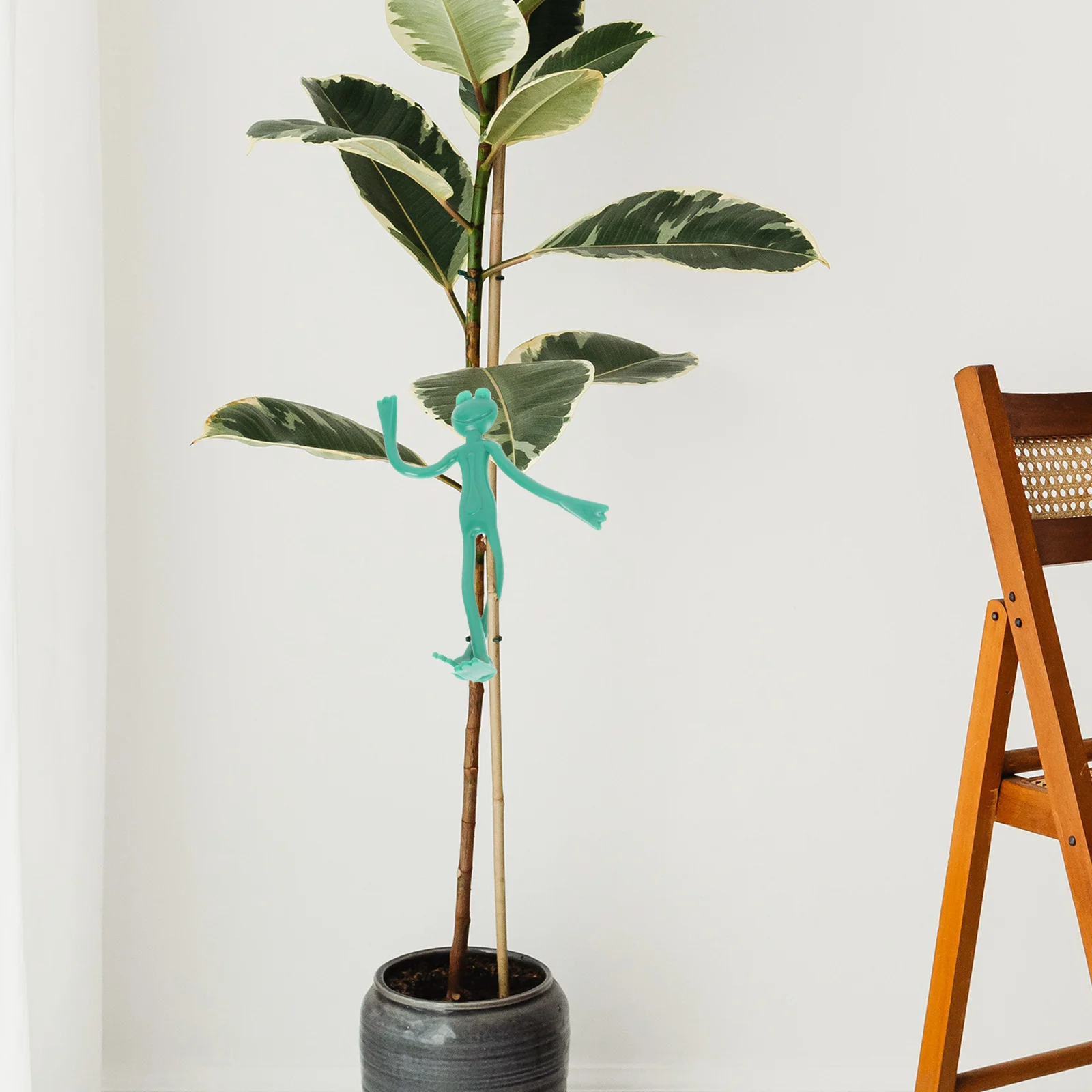 

Plant Plant Climbing Rack Plant Climbing Shelf Plant Vine Support Durable Plant Climbing Rack