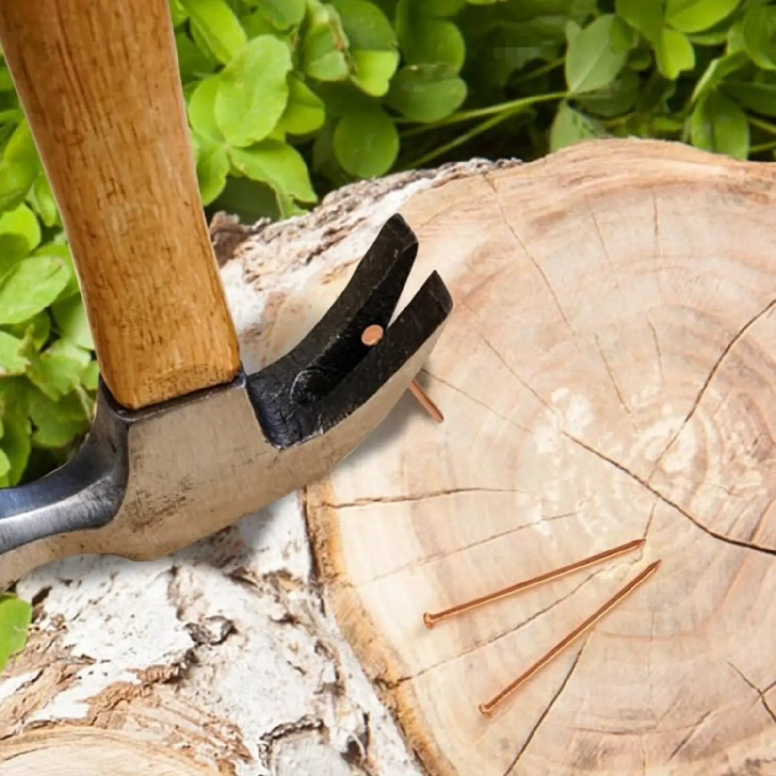 

Медные гвозди для удаления стволов деревьев, простые в использовании, многоразовые, для уничтожения деревьев, набор медных гвоздей в комплекте