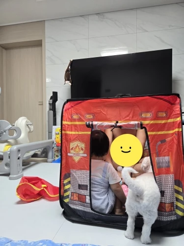 구매후기