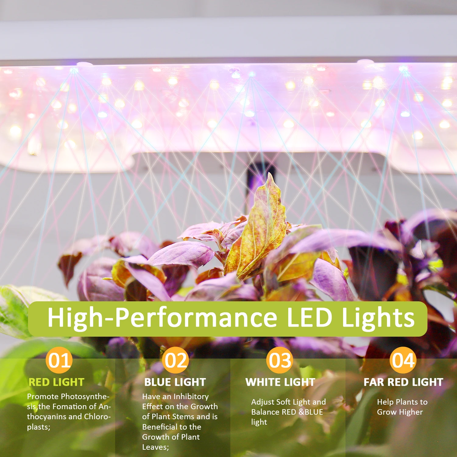 Intelligent Hydroponic Planting System Indoor Plant Grower Indoor Herb Garden with Planting Desktop LED Grow