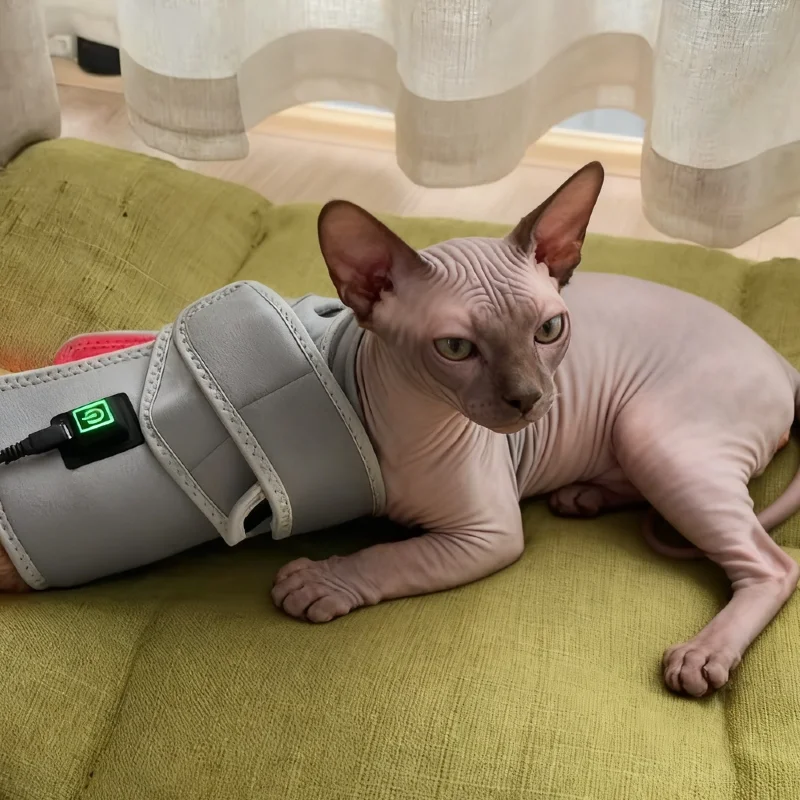 

Cold Laser Therapy Belt 660nm Red Light, for Deep Tissue Pain Relief and Rosacea Treatment Dog Wound Sport Injury