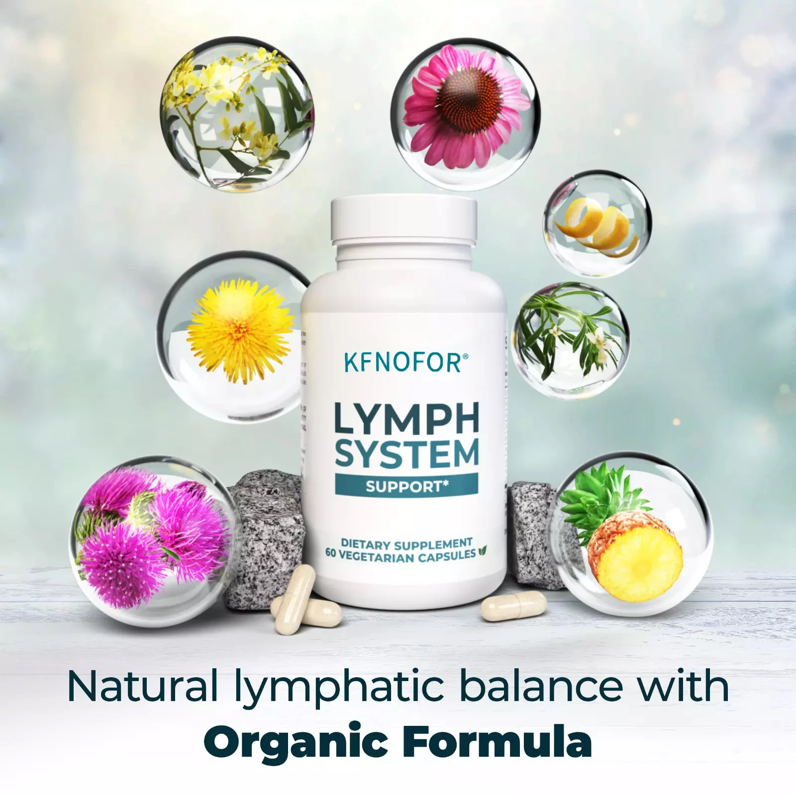 

Lymphatic Detox Cleansing Capsules - Contains Echinacea To Help Maintain Healthy Lymphatic Function and Immune Balance