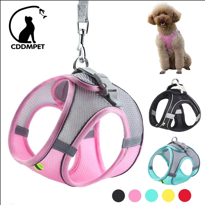 Puppy Cat Vest Harness With Leash Breathable Mesh Pet Chest Straps For Chihuahua York Harnesses Reflective Bulldog Walking Leash