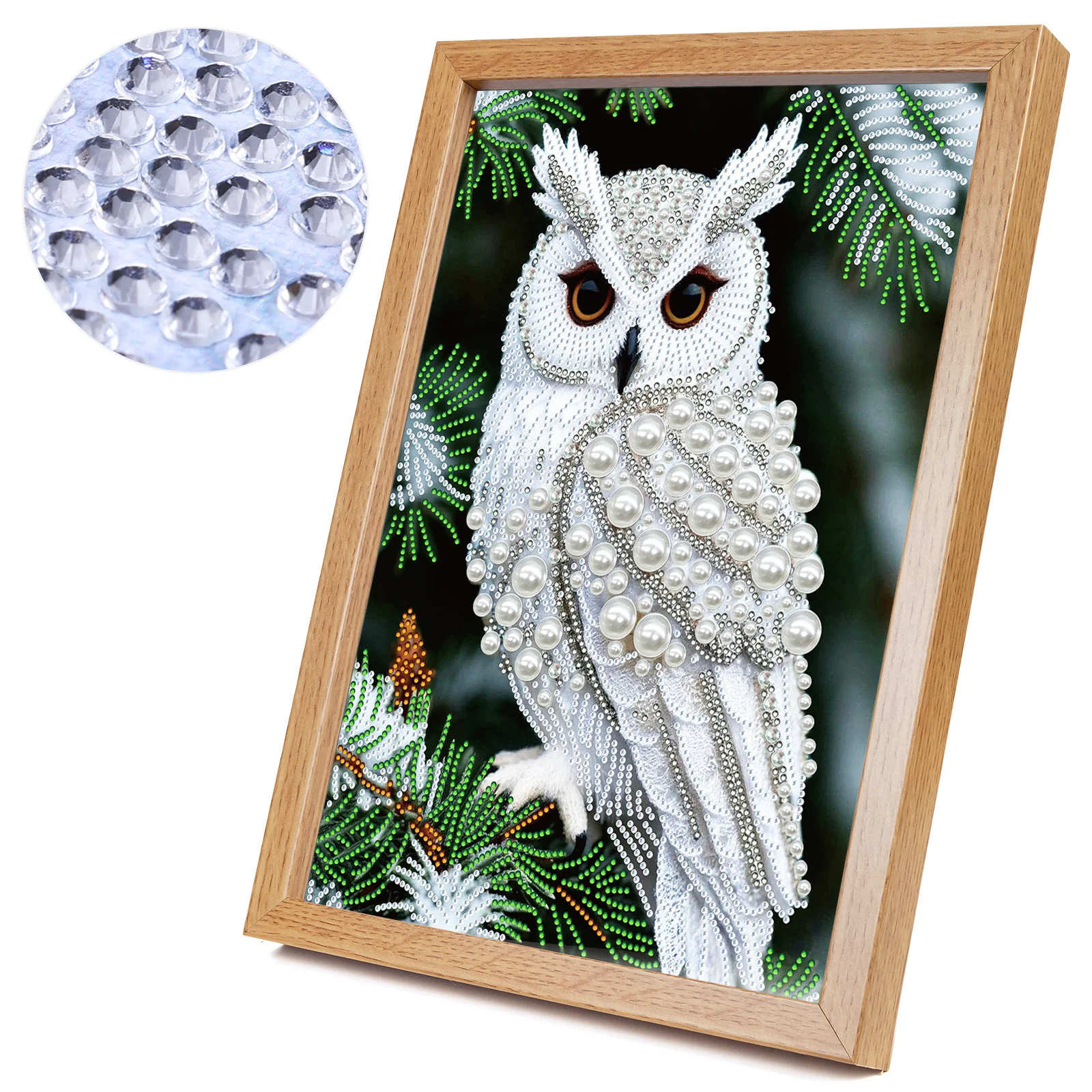 Resin Art Kits - Owl Special Shaped 5D DIY Partial
