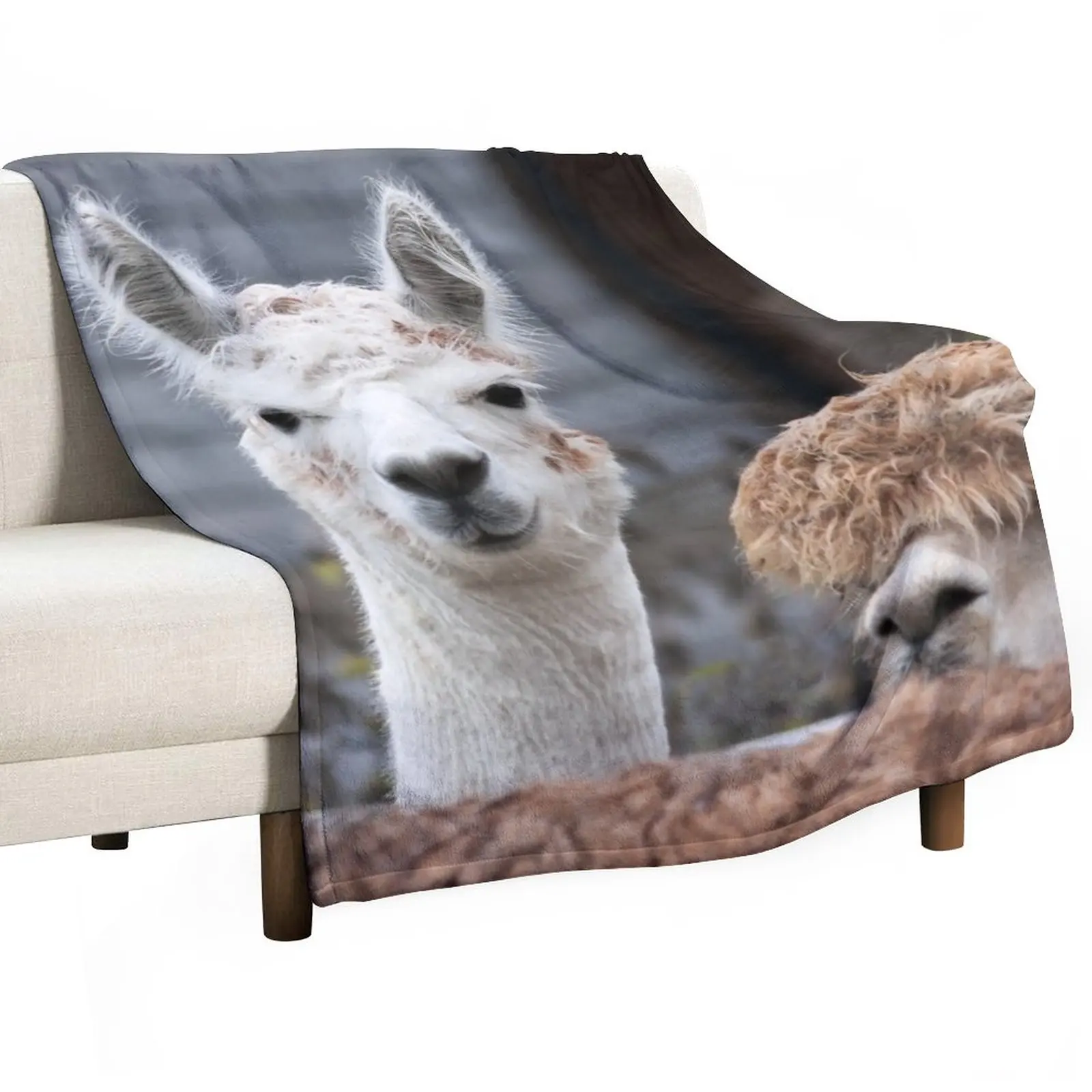 

Curious alpacas cute animals Throw Blanket Fluffy Soft Blankets Hairy Blanket Thin Blankets