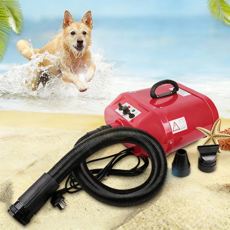 Double Motor Water Blower Pet Shop Dogs And Cats Large Dog Golden Retriever Variable Heating Hair Dryer Small Animals Supplies