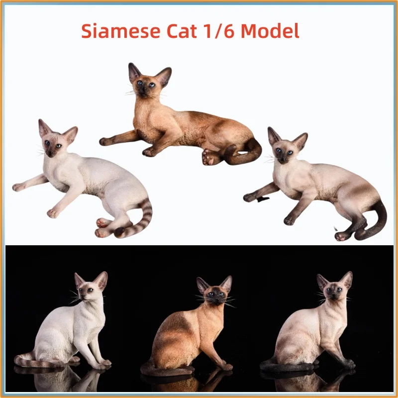 

Подлинная JXK в наличии сиамский кот в масштабе 1/6 - реалистичная скульптура из смолы, подарок для украшения автомобиля: прототип Azuki Azukisan