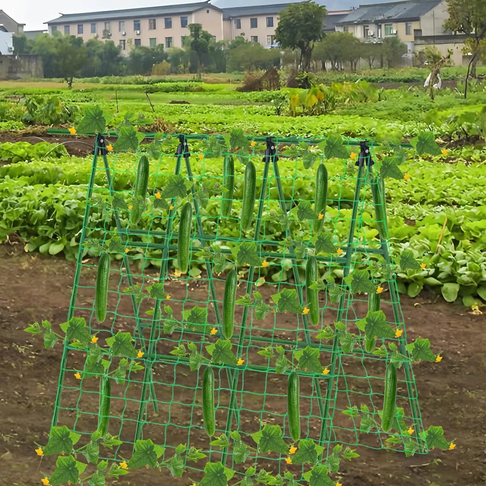 

Plant Support Raised Bed Tomatoes Cucumber Trellis Garden Trellis with Climbing Net for Flower Vine Pumpkins Grape Gardening