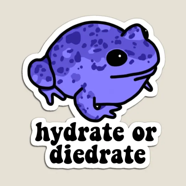 Hydrate Or Diedrate Frog  Magnet  Cute Colorful Toy Funny Kids Refrigerator Baby Children Holder Magnetic Home