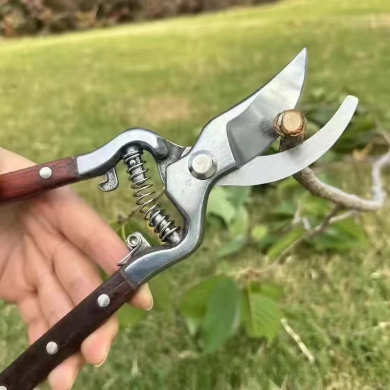 Wood Handle SK5 Pruning Shears, Garden Branch Trimming Scissors, Straight Curved Blade Bypass Pruner for Fruit Tree Flower Shrub