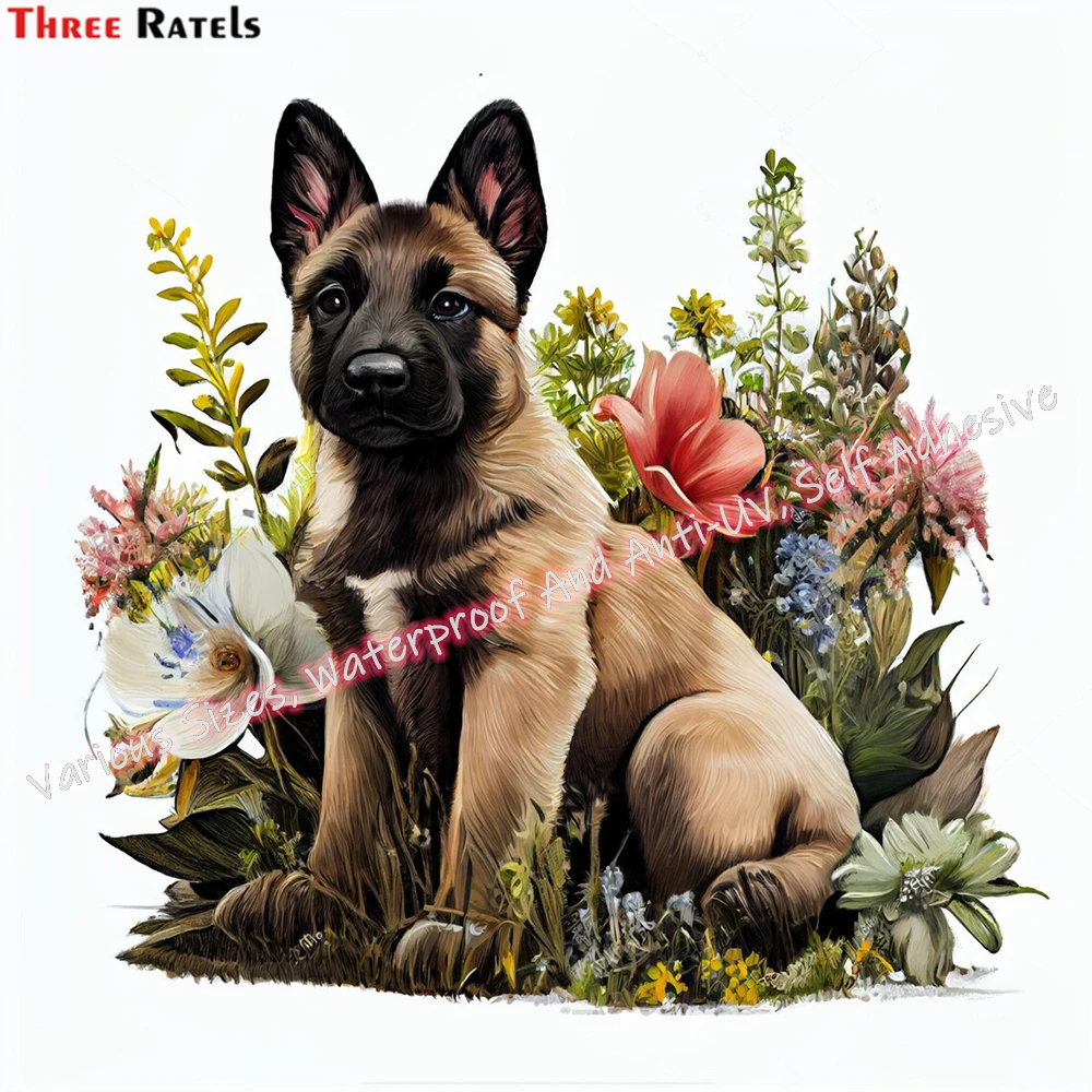 Three Ratels M87 Belgian Malinoi Puppy Digital Watercolor Wallpaper Home Decoration Accessories Room Decor Art Mural