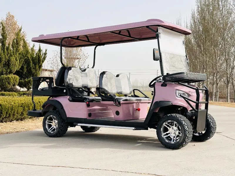 مصنع توريد 72 فولت 2 4 6 8 الركاب عالية السرعة مخصصة عربة جولف كهربائية للبيع #5