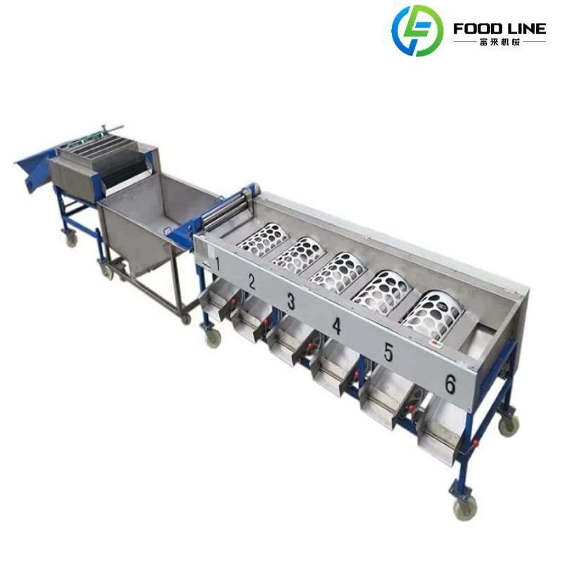 Customized Fruit and Vegetable Sorting Machine Cherry Olives Wash Grade Working Line Fruit Automatic Sorting Machine