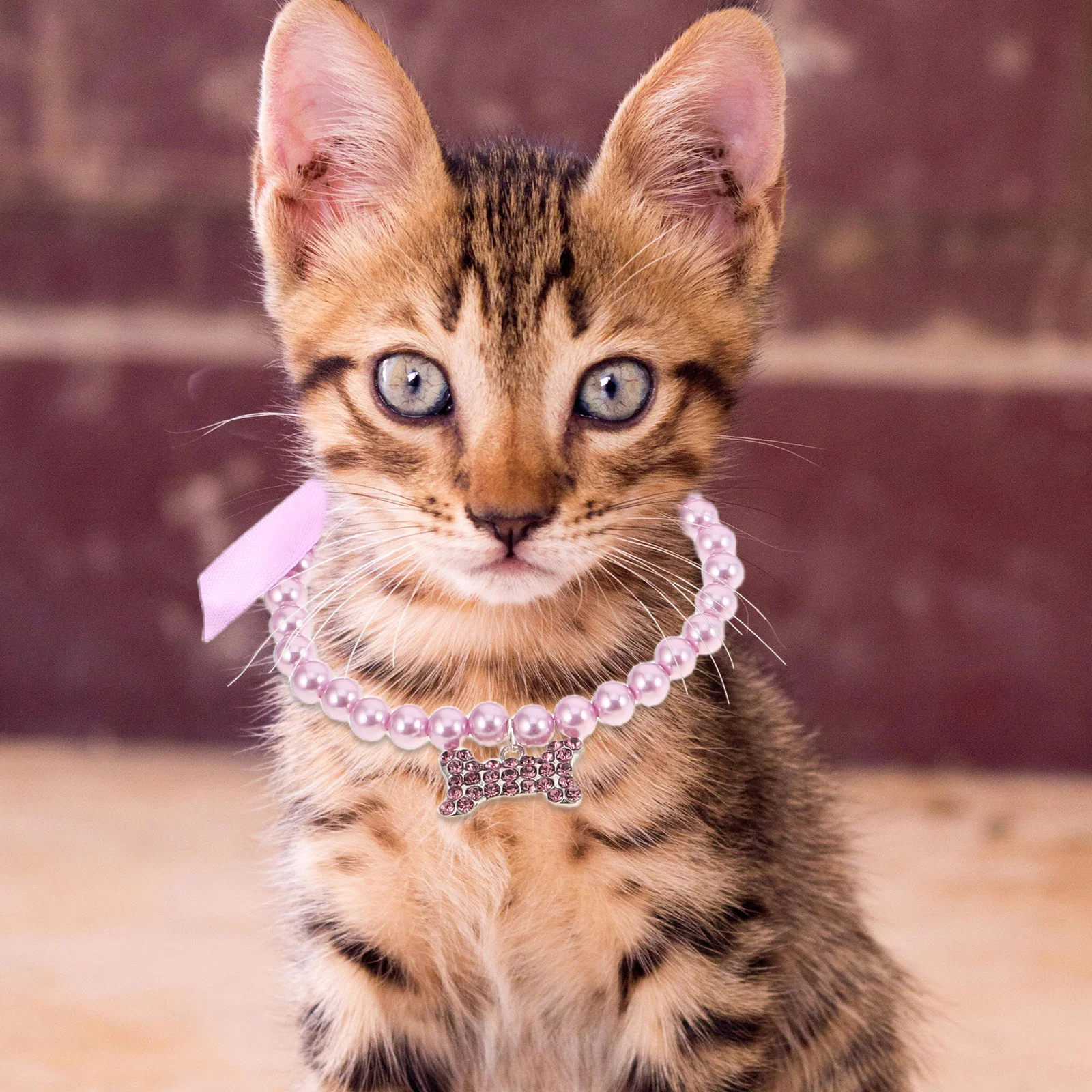 Collier de perles pour chien et chat, 4 pièces, réglable, pendentif en os, bijoux pour petits chiens et chats, occasions spéciales quotidiennes