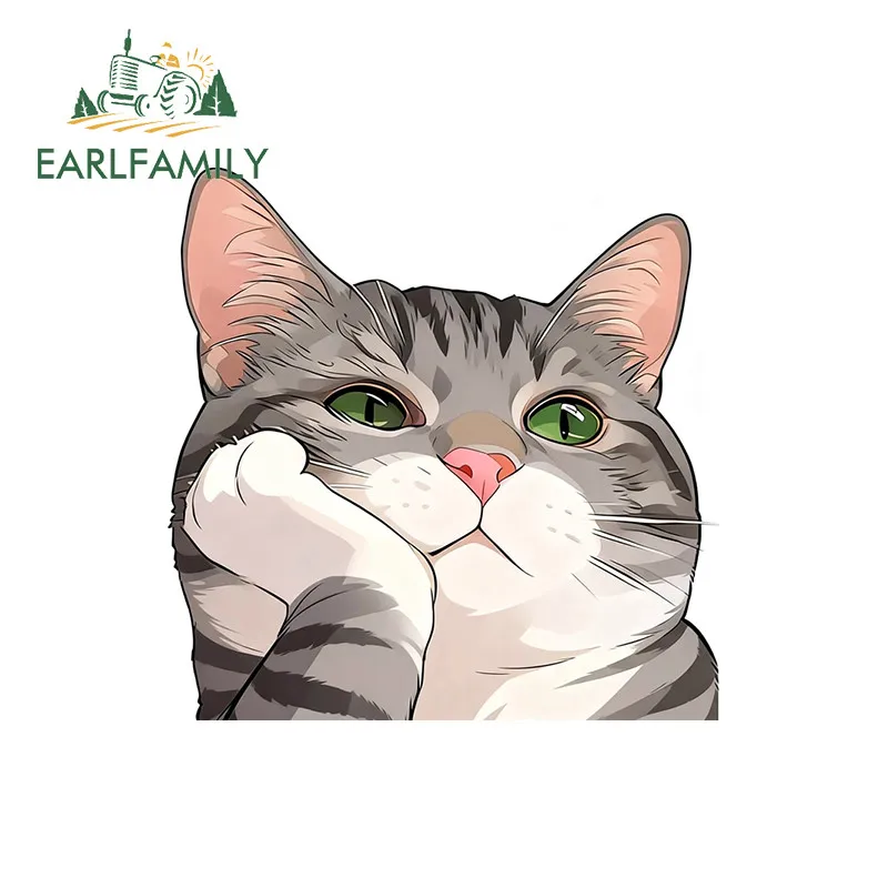 EARLFAMILY Cat Emotion Reflective Car Sticker Scratch-Proof Caravan Motorcycle Windows Bumper JDM Decal Waterproof Car Styling