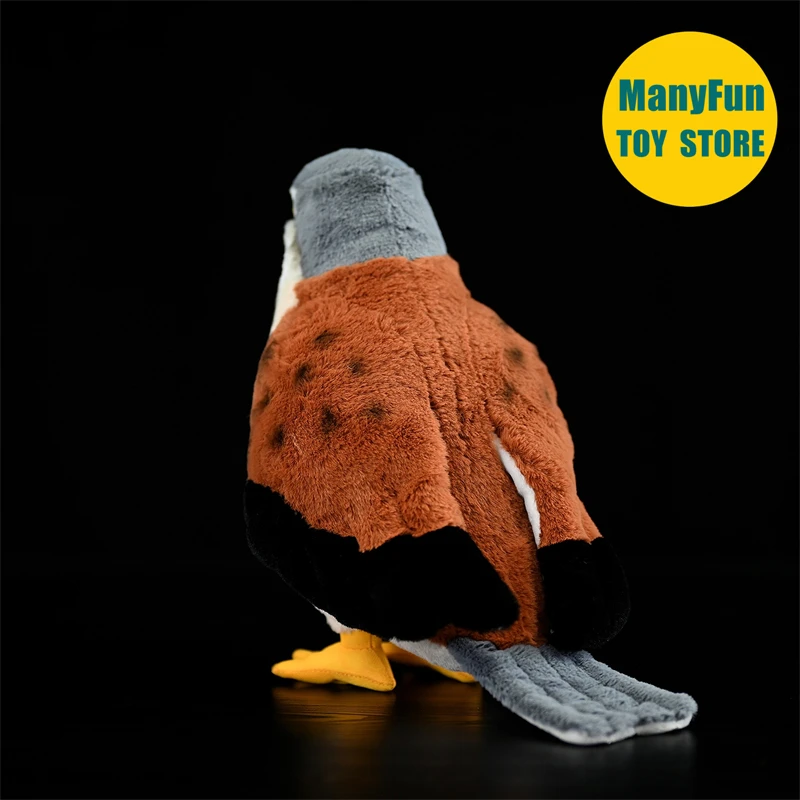 ตุ๊กตาเหยี่ยวเคสเทรลเหมือนจริง ตุ๊กตาเหยี่ยวฟอลคอนคุณภาพสูง ตุ๊กตาเหยี่ยวเพเรกรีนเหมือนจริง ตุ๊กตาเหยี่ยวสปาร์โรว์ ตุ๊กตาสัตว์จำลอง