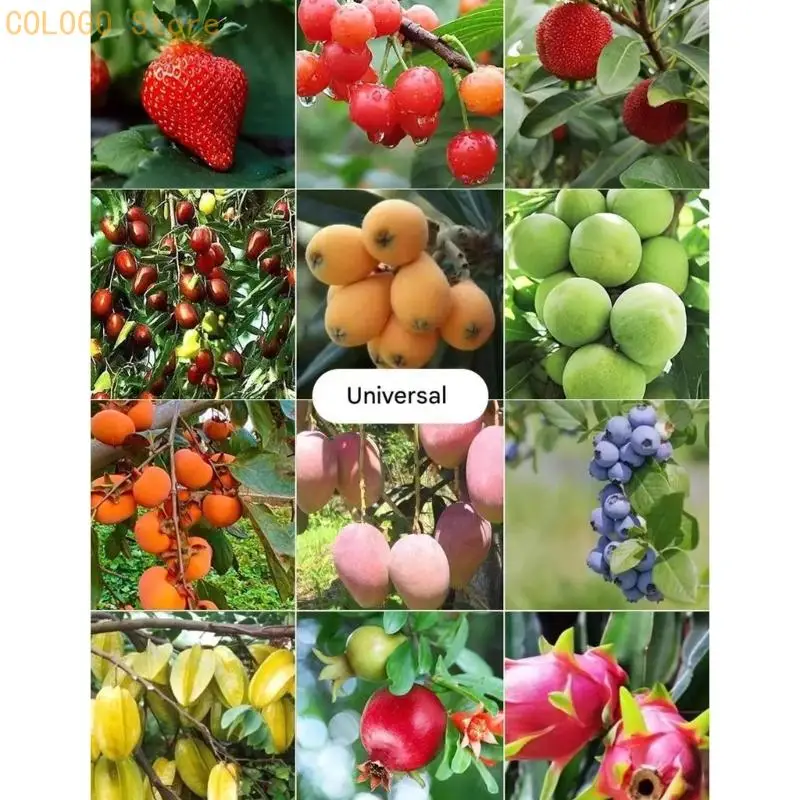 100Pcs Breathable Fruit Protective Bags with Drawstring Penetrating Fruit Bags Fruit Tree Fruit Cover Replacement D0LD