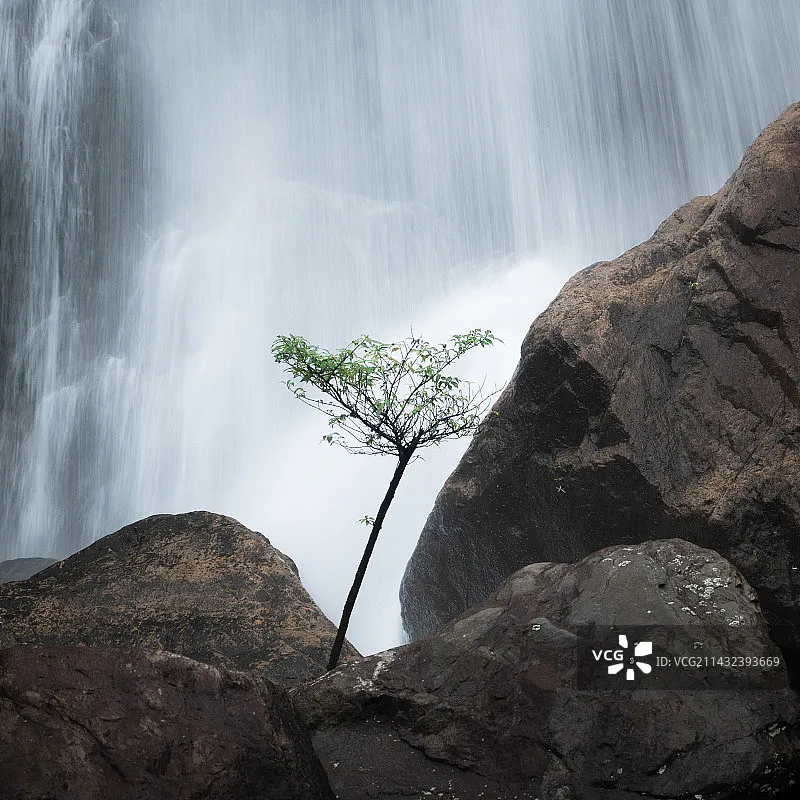 

JJRC C8817 RC автомобиль для Tesla Cybertruck масштаб сплав пикап внедорожник кемпинг для детей игрушки подарки для мальчиков