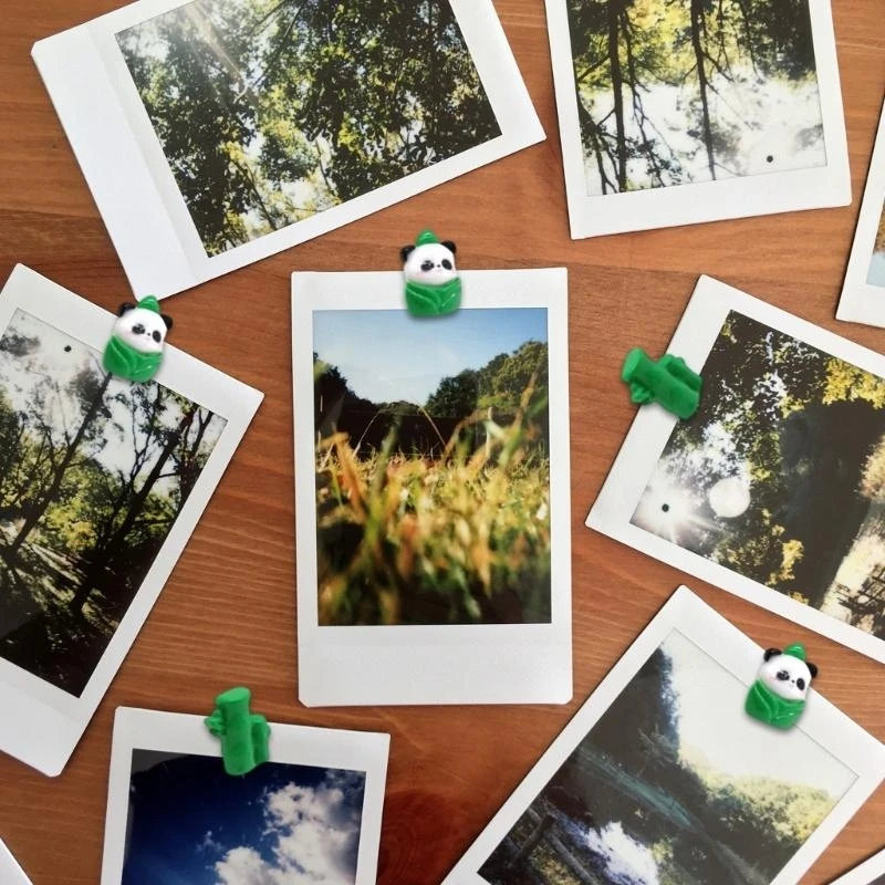 62KA 20/30 قطعة دبابيس ضغط الباندا الزخرفية Thumbtacks لوحة إعلانات الفلين مسامير الإبهام مع حافظة للوحة الإعلانات لوحة الفلين