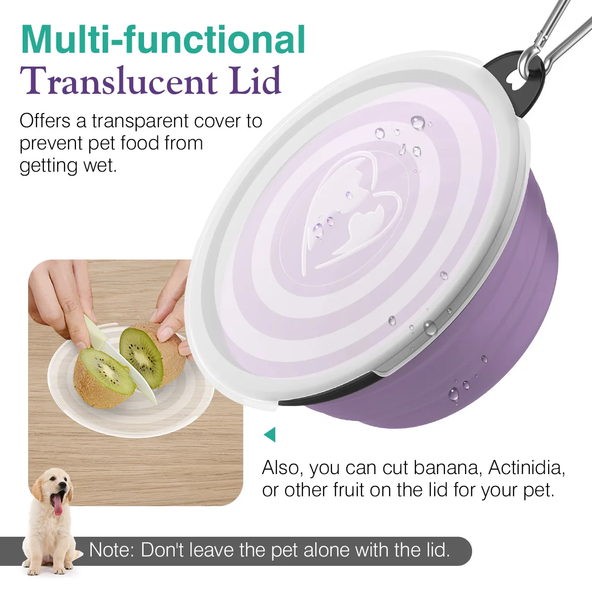 Collapsible Dog Bowls 2 Pack Silicone Feeding Watering Bowls with Lids & Carabiners for Dogs Cats Portable Collapsable Bowl