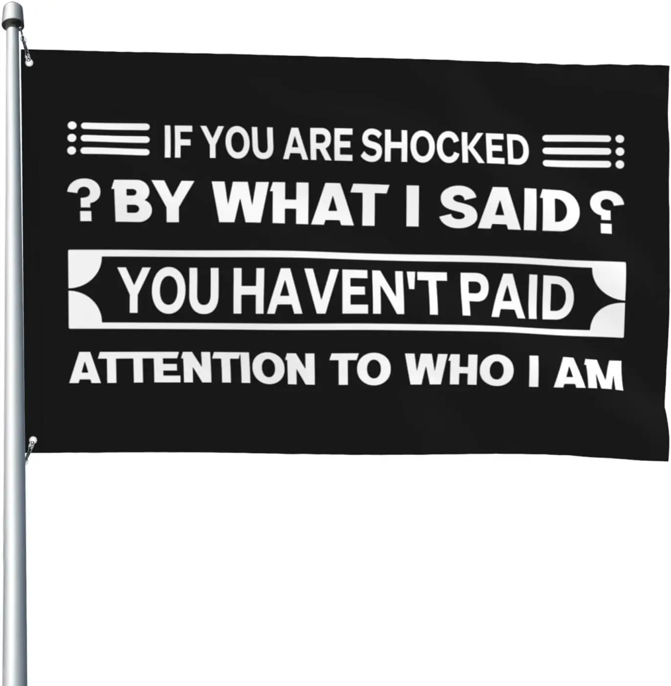 Flagicts 100% Polyester If You Are Shocked By What I Said You Haven't Paid Attention To Who I Am Flag