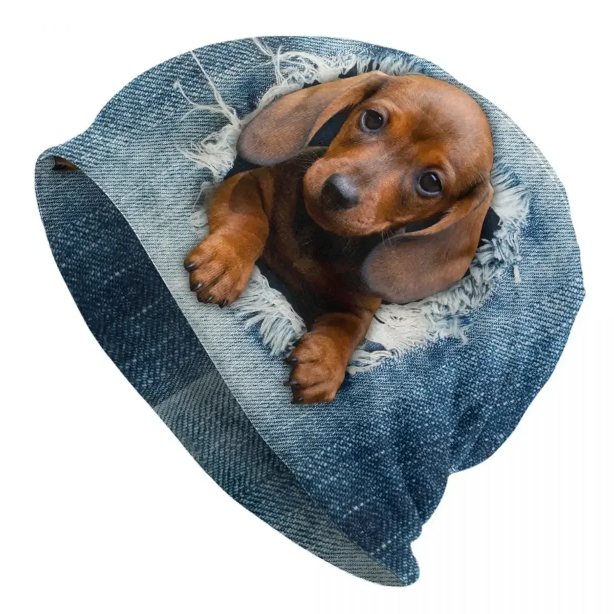 Gorros Hip Hop en tricot chaud para adultos, sombreros en jean déchirés pour chien teckel, sombreros unisex, bonnet pour chien