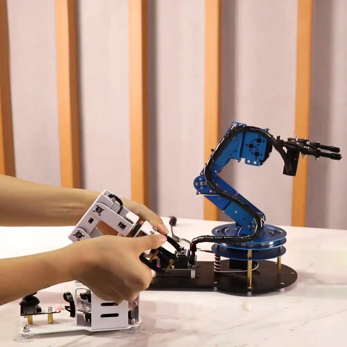 Hiwonder Programming Real-time Control Robotic Arm Synchronization Controller for Robot