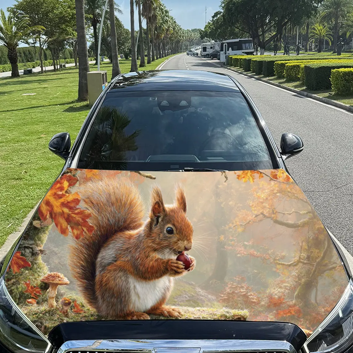 

Милая белка в осенней сцены, виниловые обертывания на капоте двигателя автомобиля из ПВХ, самоклеящаяся водонепроницаемая наклейка на капот автомобиля, украшение автомобиля Pro