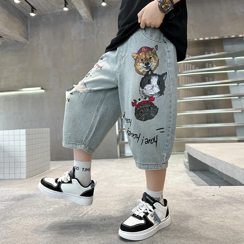 Boys Casual Denim S…