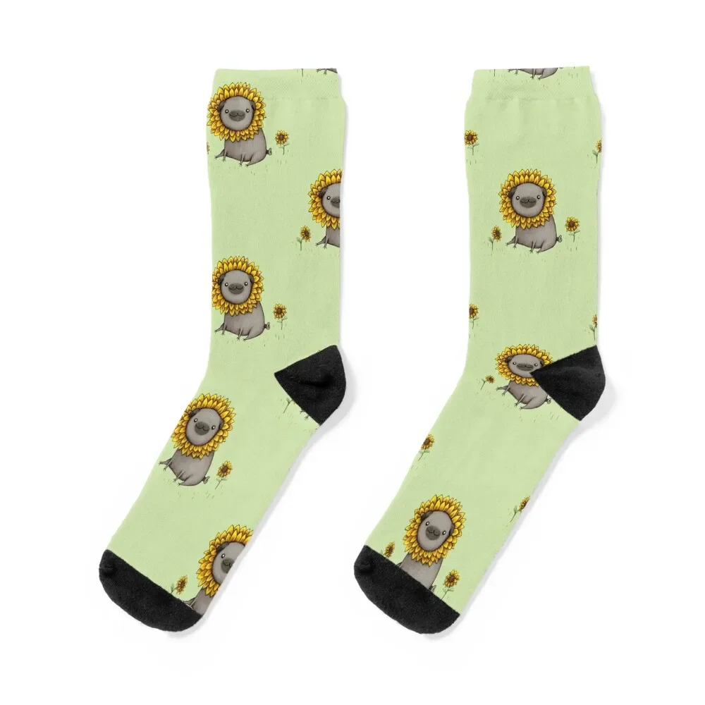 

Pugflower Socks kids Stockings compression Lots Socks Girl Men's