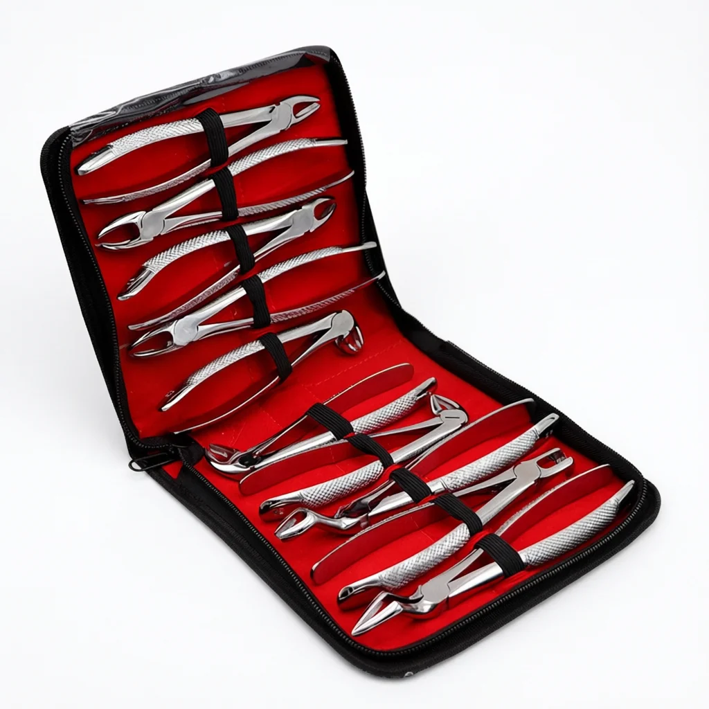 Dental Extraction Pliers Set, Stainless Steel Oral Instruments, 10pcs High Quality Dental Tools, Professional Tooth Pulling Kit