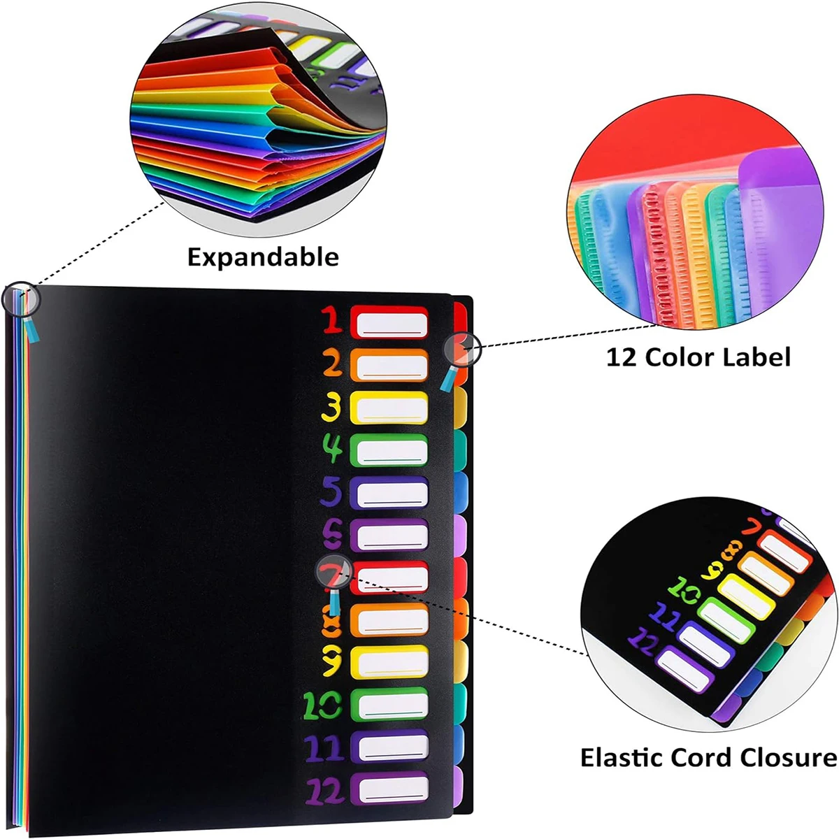 Expanding Project Sorter Heavy Duty Monthly Plastic Expandable Folder Organizer, A4 Letter Size, Multicolor