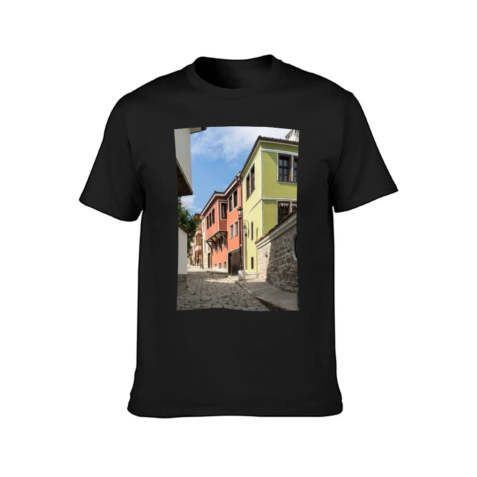 Steep Cobblestoned Street and Boldly Painted National Revival Houses T-Shirt anime clothes plus sizes Men's t shirts