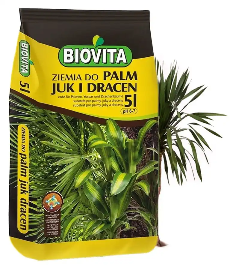 Sustrato para Yucca y Dracena, palmeras de 5L