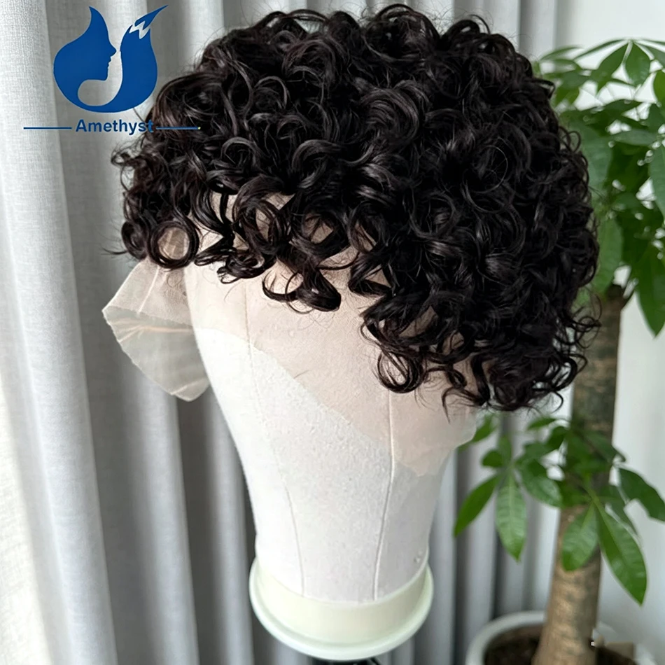 Amethyst Round Curly Natural Black Full Lace Human Hair Wig Short Boy Cut Remy Hair For Men Pre Styled Hair System