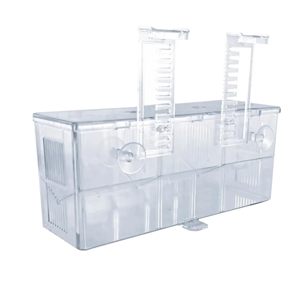 Highly Transparent …