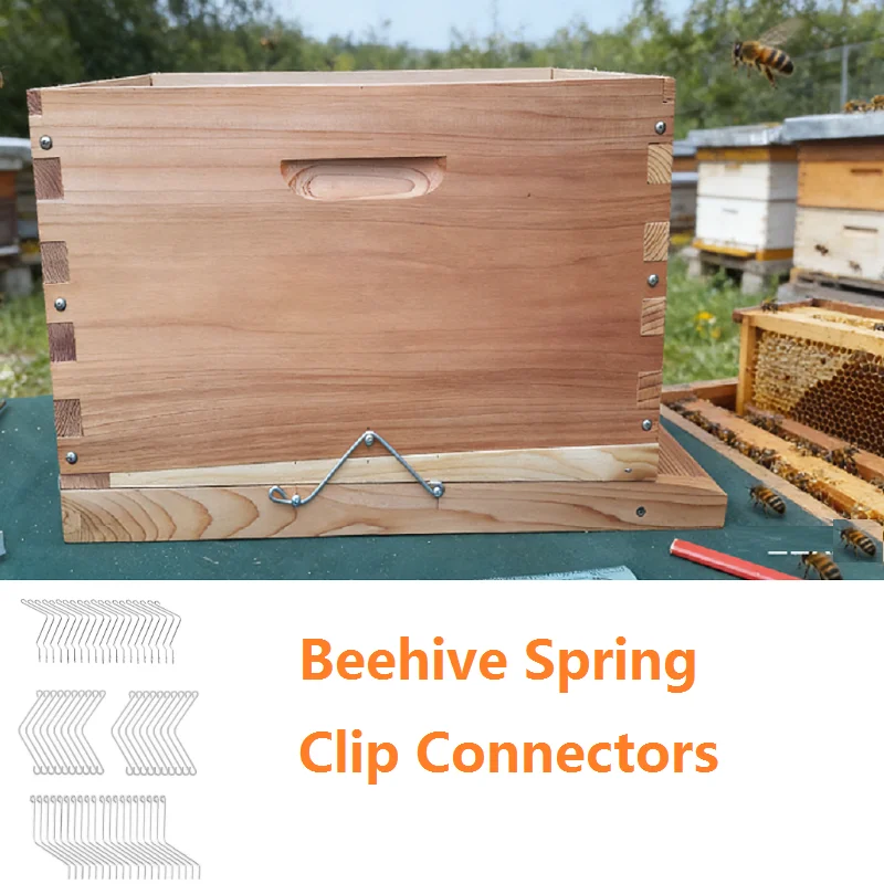 20PC Beehive Spring Clip Connectors Stainless Steel Beehive Connectors Bend Wire Holder Beehive Fastener Fixing Beekeeping Tools