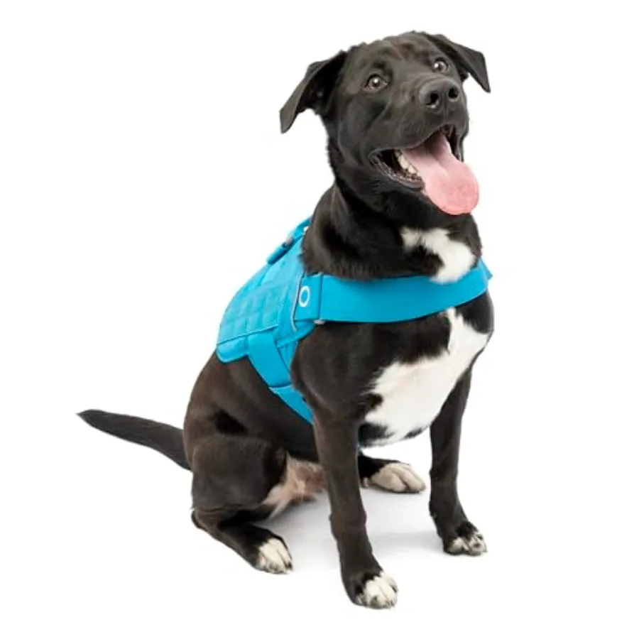 

RSG Dog Townie Harness - Easy On-Off for Quick Outings - Breathable Mesh - MOLLE-Compatible for Clip-On Accessories - Top Handl